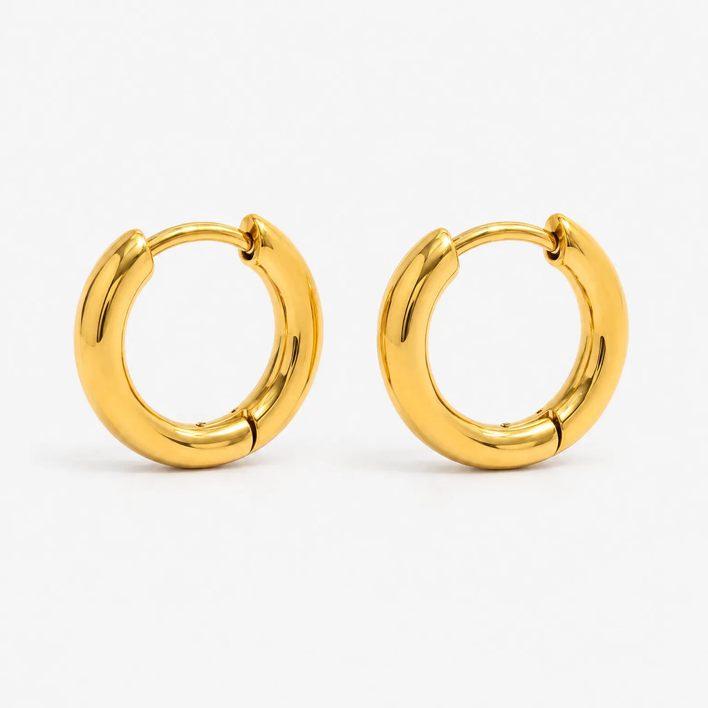 Aurion - Small Huggie Hoop Earrings Everyday Accessorizing